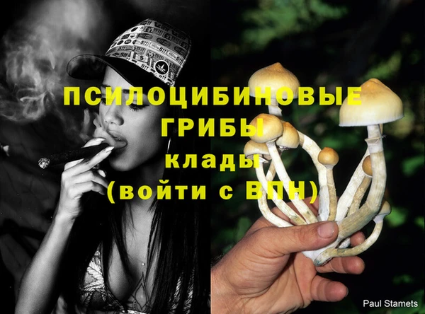 ешки Гусь-Хрустальный