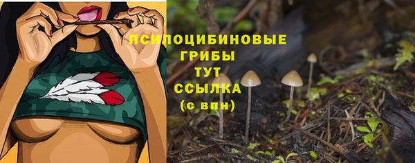 ешки Гусь-Хрустальный