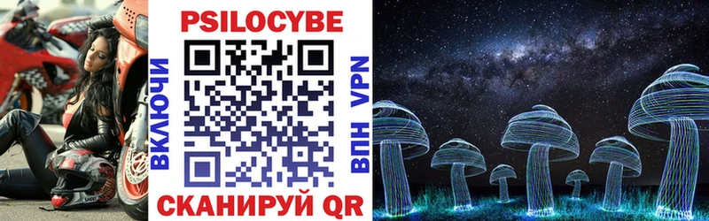 Купить закладки  Шумиха  Галлюциногенные грибы мицелий 
